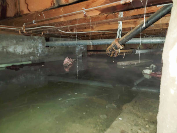 Best 24/7 water damage repair  in Strasburg, CO