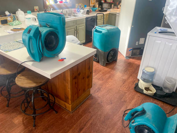 Best Sewage cleanup and water damage restoration  in Strasburg, CO