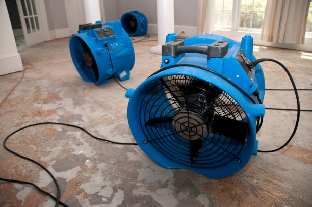 Best Water damage restoration insurance claims  in Strasburg, CO