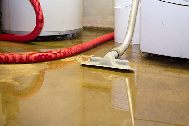 Best Water damage contractors near me  in Strasburg, CO
