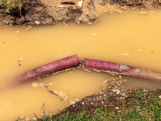 Best Commercial water damage restoration  in Strasburg, CO