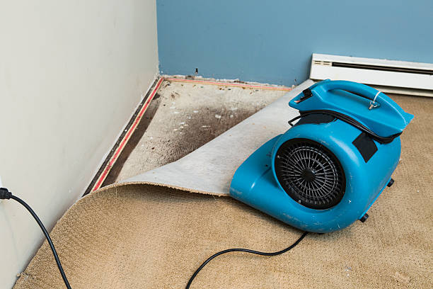 Best Water damage cleanup near me  in Strasburg, CO